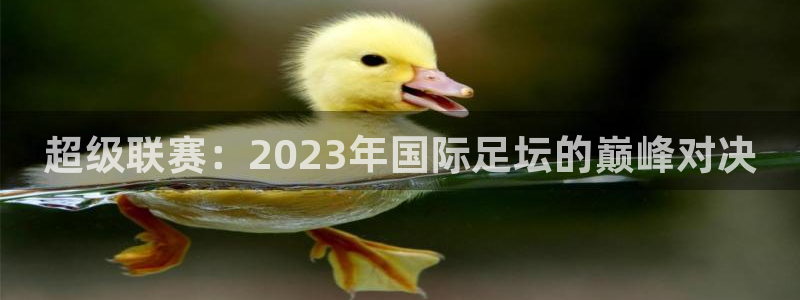 833体育直播观看：超级联赛：2023年国际足坛的巅峰对决