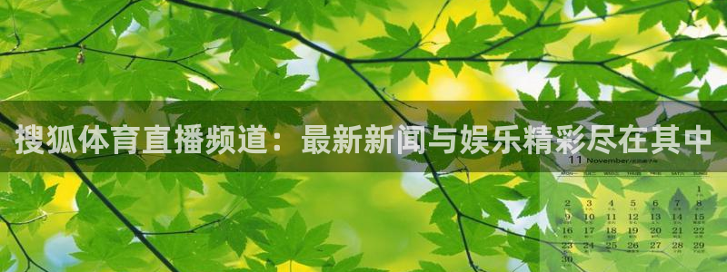 833足球直播：搜狐体育直播频道：最新新闻与娱乐精彩尽在其中