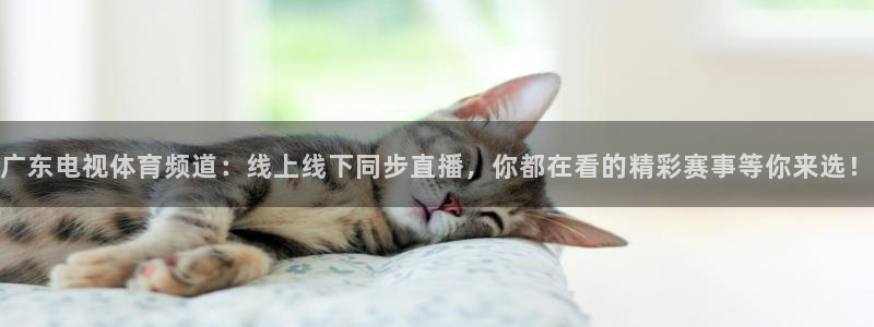 833体育在线直播在线看免费版：广东电视体育频道：线上线下同步直播，你都在看的精彩赛事等你来选！