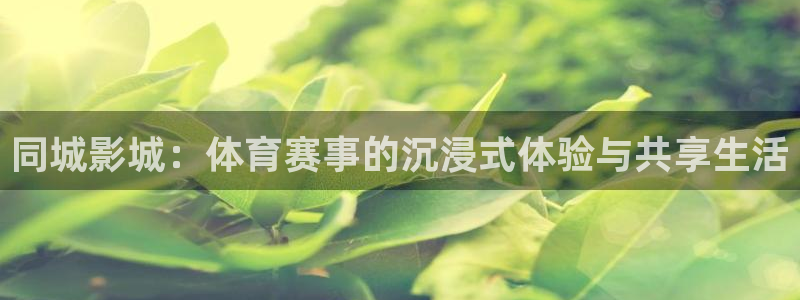 833足球视频直播：同城影城：体育赛事的沉浸式体验与共享生活