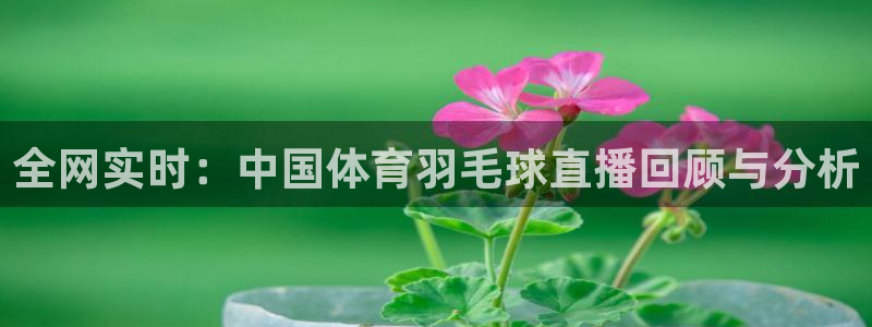 833足球比赛直播高清：全网实时：中国体育羽毛球直播回顾与分析
