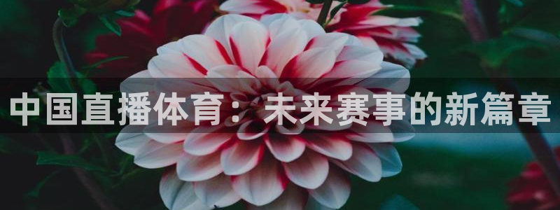 833体育在线直：中国直播体育：未来赛事的新篇章