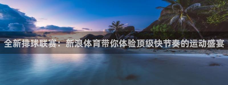 833直播足球比赛在线观看：全新排球联赛：新浪体育带你体验顶级快节奏的运动盛宴